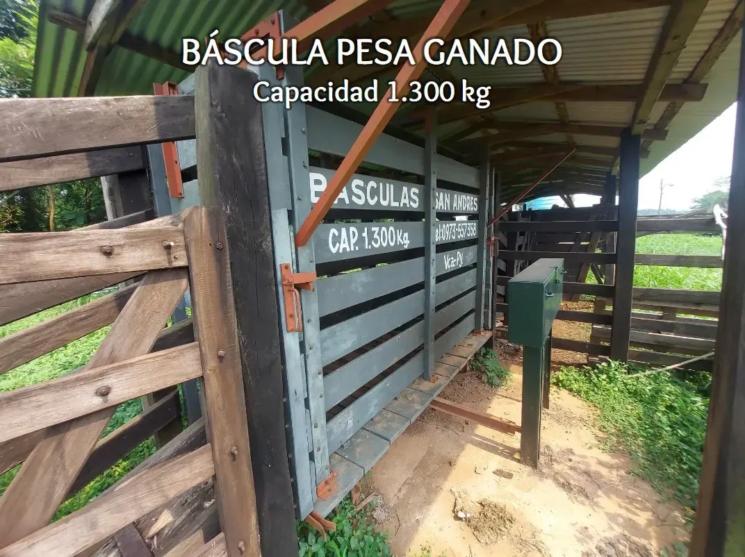 Comercial à venda de 53 ha em Itacurubí de la Cordillera, Paraguai