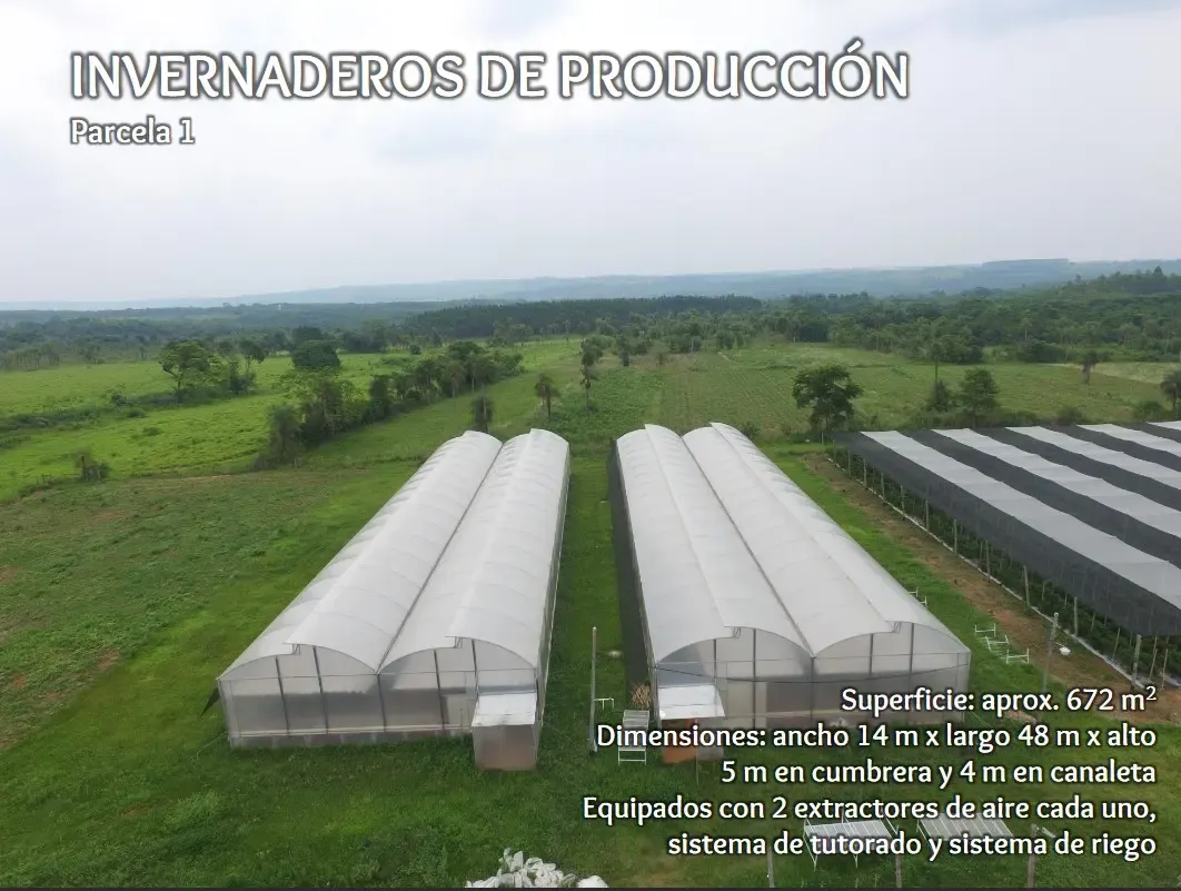 Comercial à venda de 53 ha em Itacurubí de la Cordillera, Paraguai