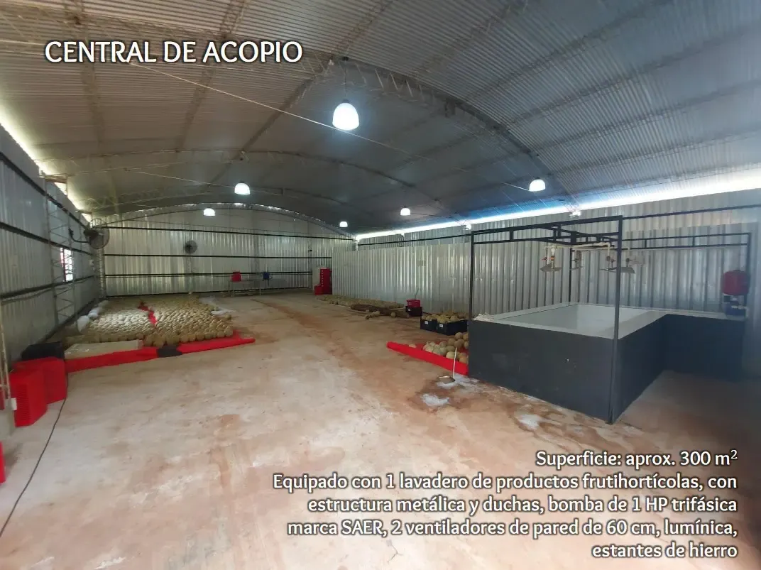 Comercial à venda de 53 ha em Itacurubí de la Cordillera, Paraguai
