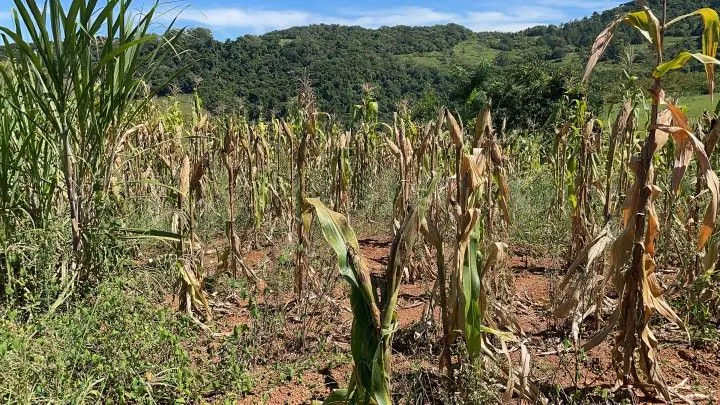 Country home for sale of 2,080 m² in Santo Antônio da Patrulha, RS, Brazil
