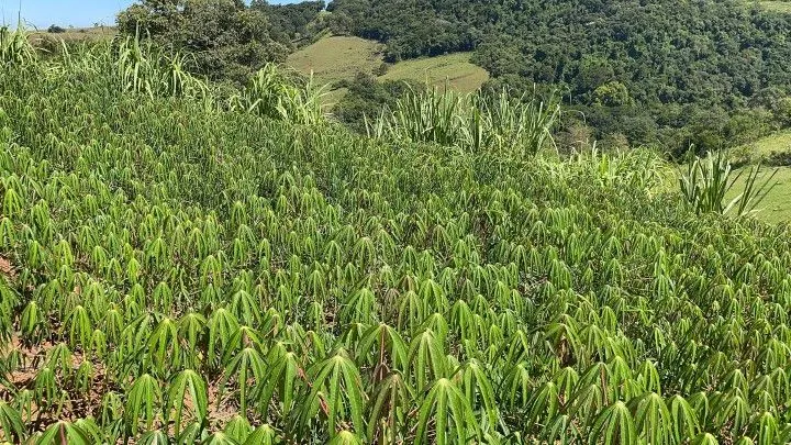 Country home for sale of 2,080 m² in Santo Antônio da Patrulha, RS, Brazil