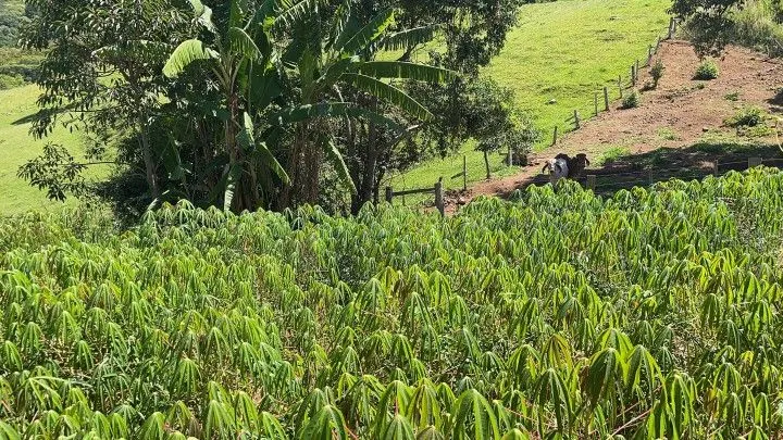 Country home for sale of 2,080 m² in Santo Antônio da Patrulha, RS, Brazil