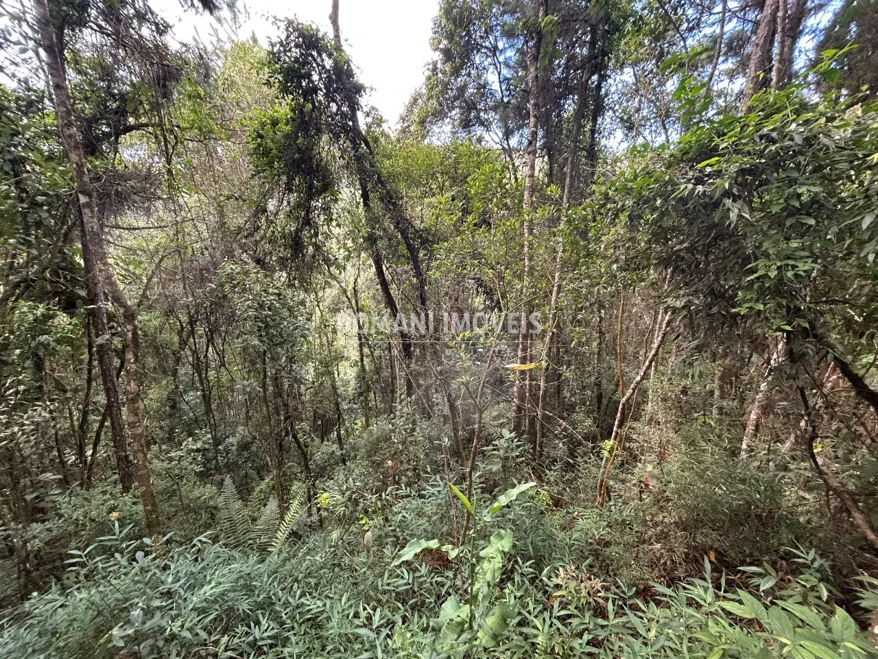 Plot for sale of 1 acres in Campos do Jordão, SP, Brazil