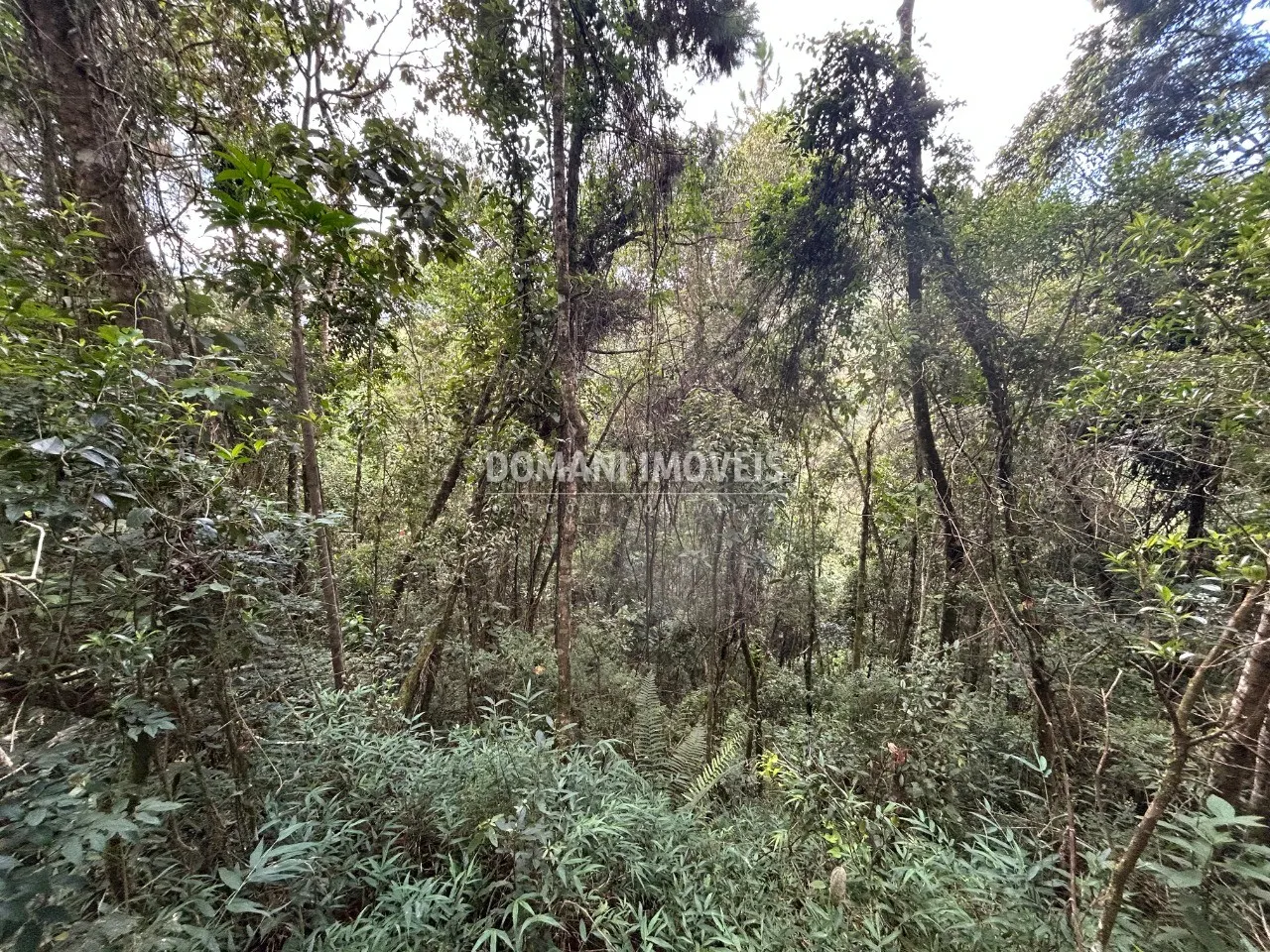 Plot for sale of 1 acres in Campos do Jordão, SP, Brazil