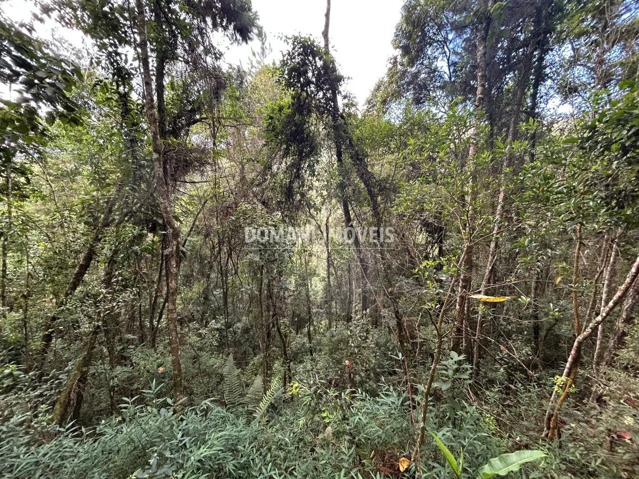 Plot for sale of 1 acres in Campos do Jordão, SP, Brazil