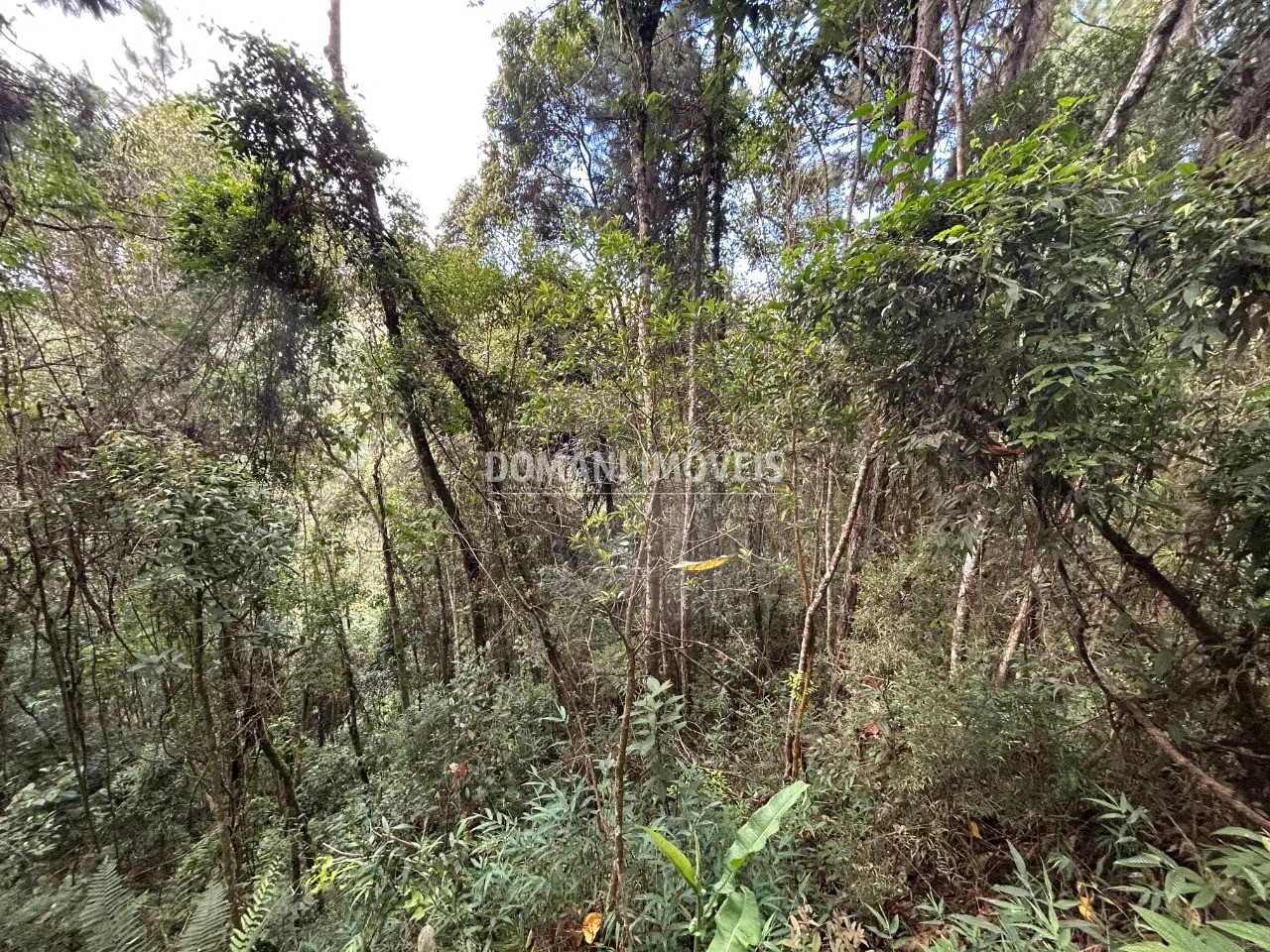Plot for sale of 1 acres in Campos do Jordão, SP, Brazil