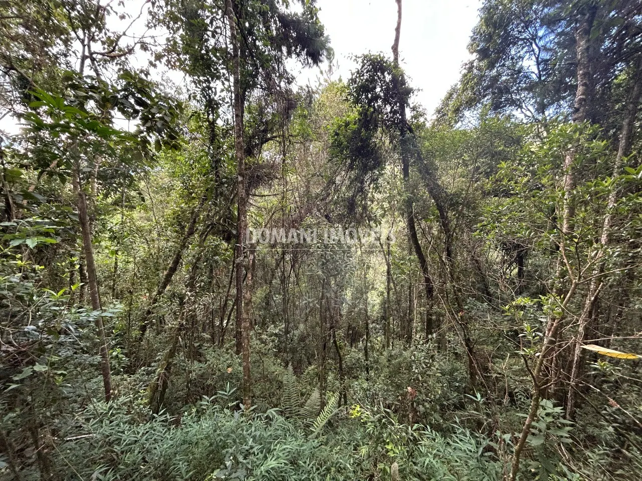 Plot for sale of 1 acres in Campos do Jordão, SP, Brazil