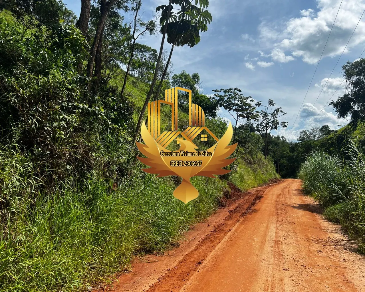 Plot for sale of 6 acres in Jambeiro, SP, Brazil