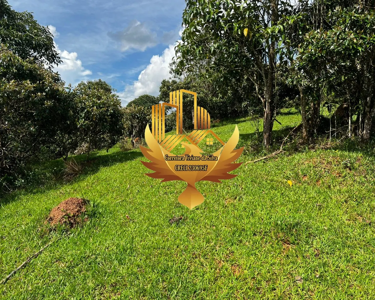 Plot for sale of 6 acres in Jambeiro, SP, Brazil