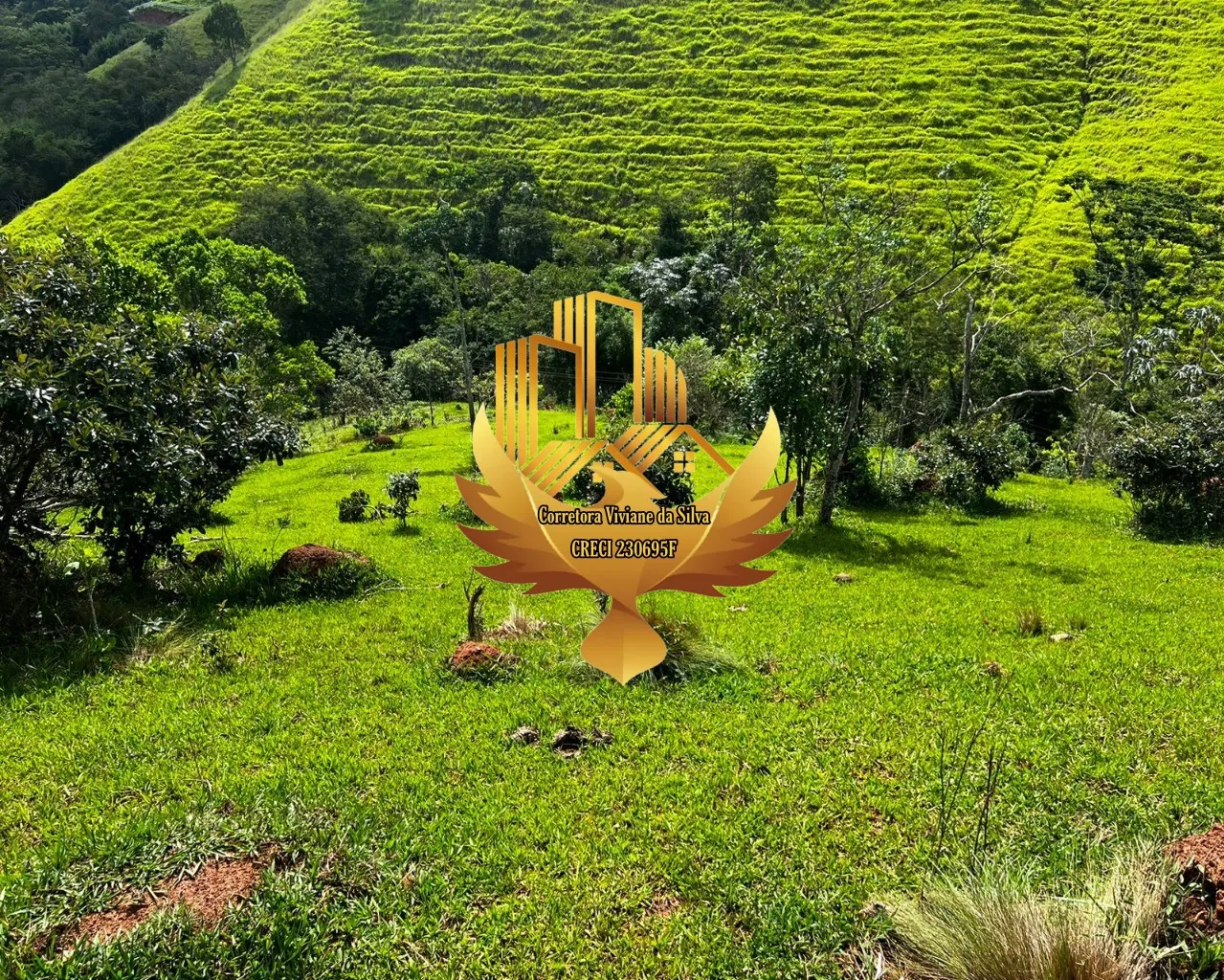 Plot for sale of 6 acres in Jambeiro, SP, Brazil
