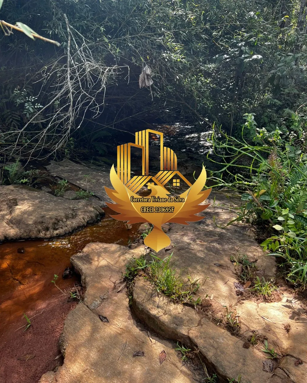 Plot for sale of 6 acres in Jambeiro, SP, Brazil
