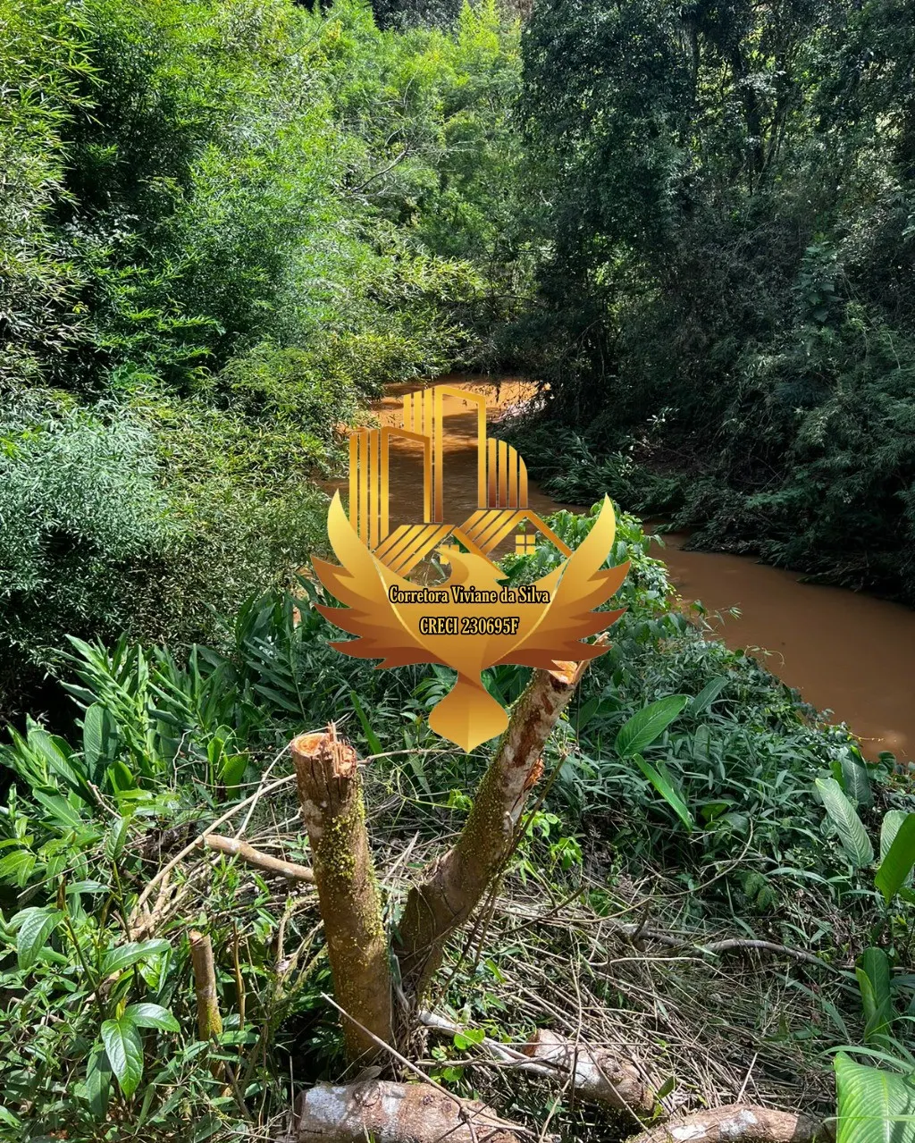 Plot for sale of 6 acres in Jambeiro, SP, Brazil