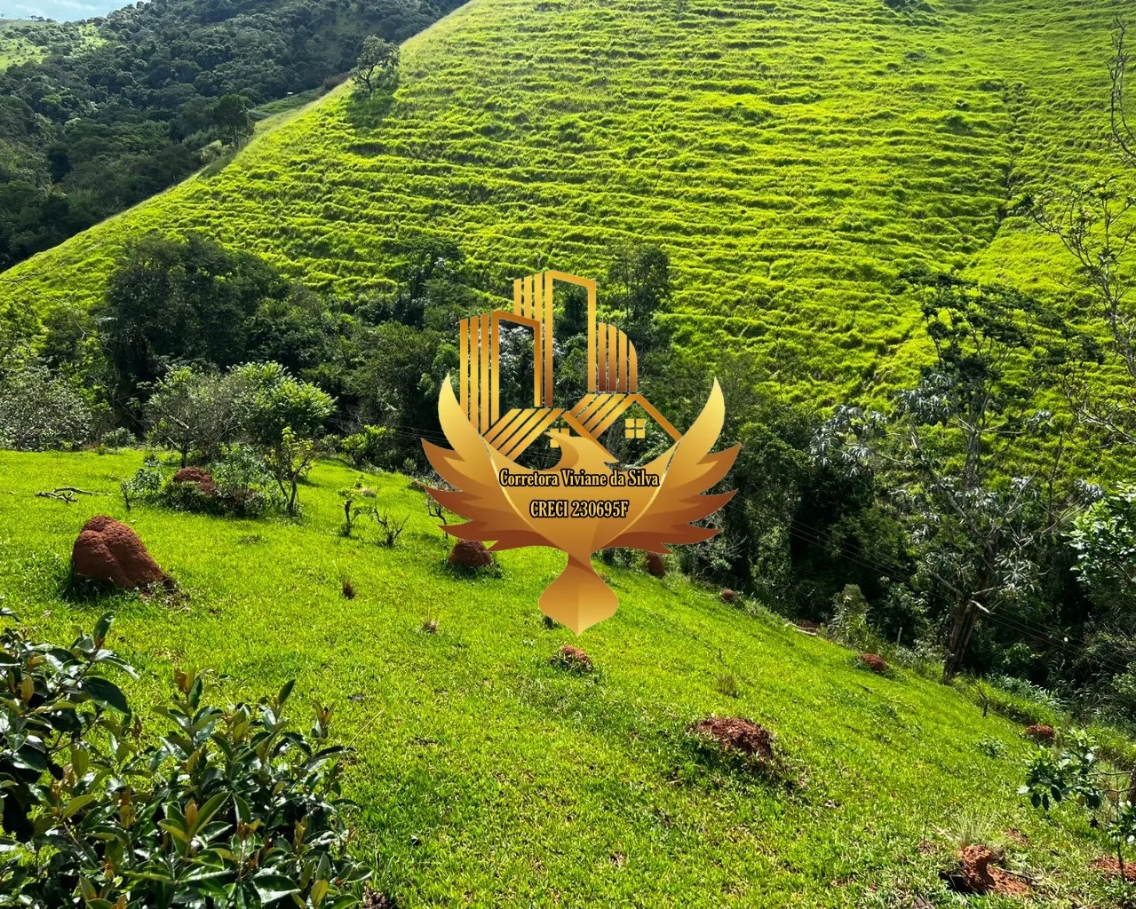 Plot for sale of 6 acres in Jambeiro, SP, Brazil