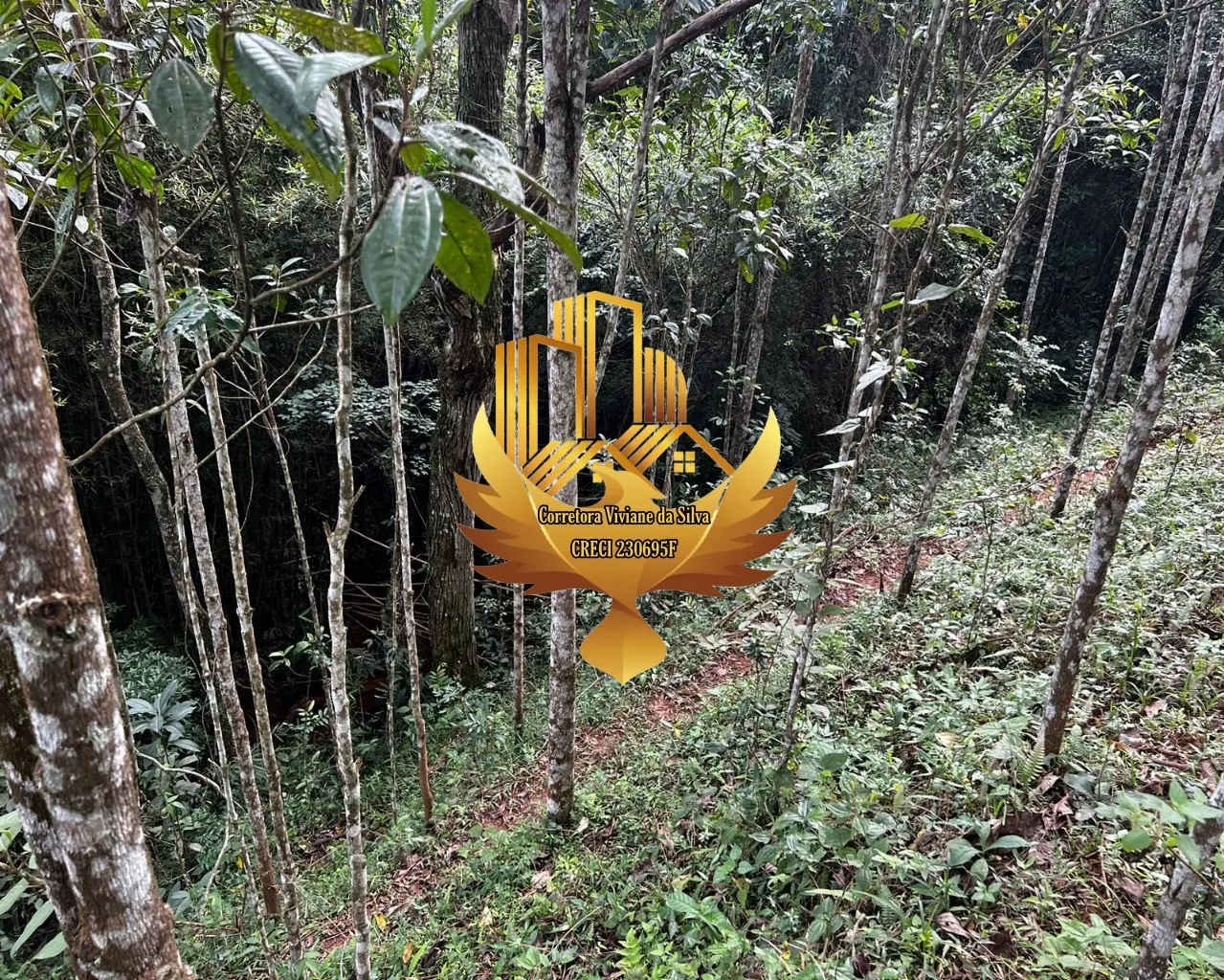 Plot for sale of 6 acres in Jambeiro, SP, Brazil