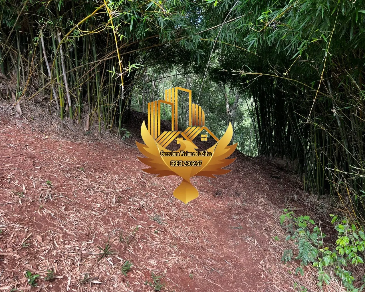Plot for sale of 6 acres in Jambeiro, SP, Brazil