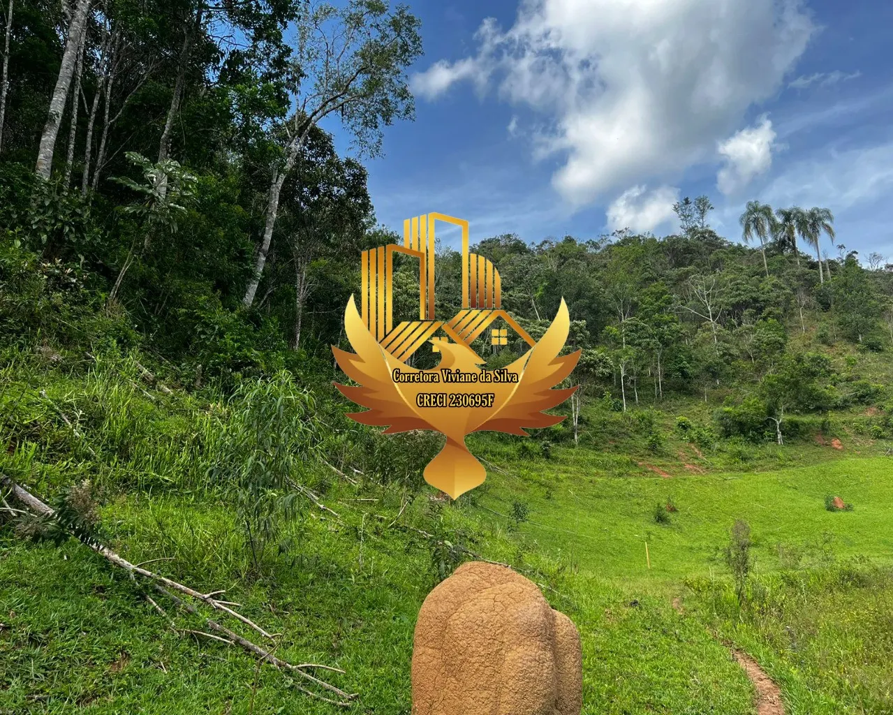 Plot for sale of 6 acres in Jambeiro, SP, Brazil
