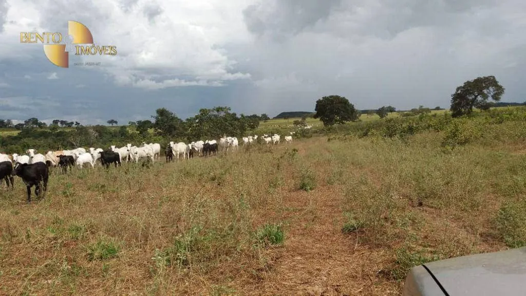 Fazenda à venda de 3.080 ha em Guiratinga, MT, Brasil