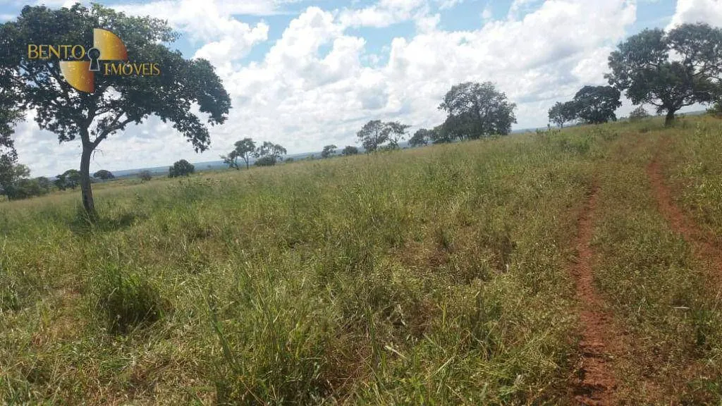 Fazenda à venda de 3.080 ha em Guiratinga, MT, Brasil