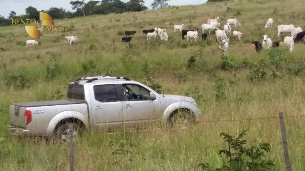 Fazenda à venda de 3.080 ha em Guiratinga, MT, Brasil