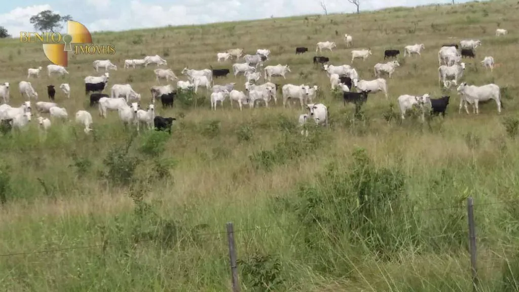 Fazenda à venda de 3.080 ha em Guiratinga, MT, Brasil