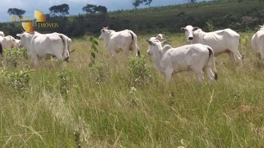 Fazenda à venda de 3.080 ha em Guiratinga, MT, Brasil