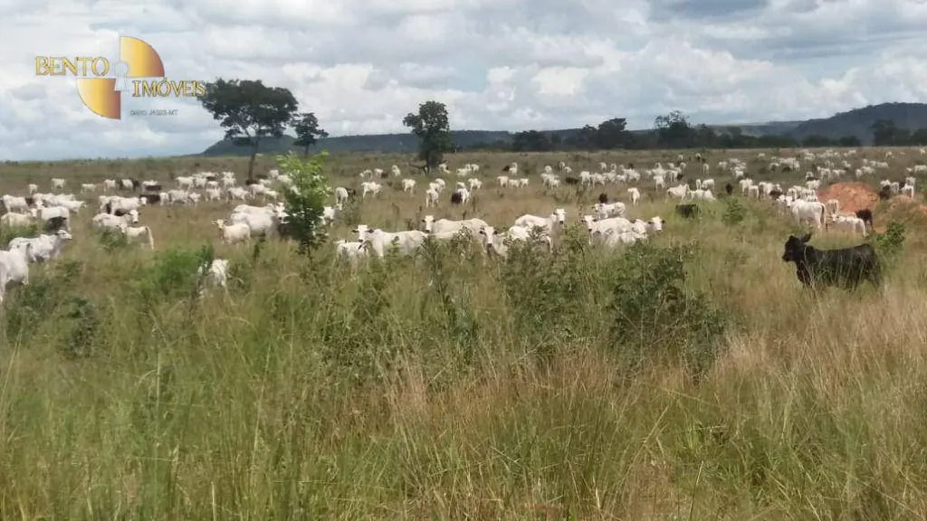 Fazenda à venda de 3.080 ha em Guiratinga, MT, Brasil