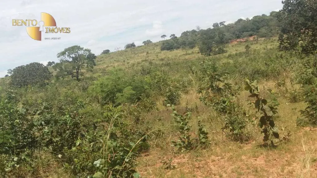 Fazenda à venda de 3.080 ha em Guiratinga, MT, Brasil