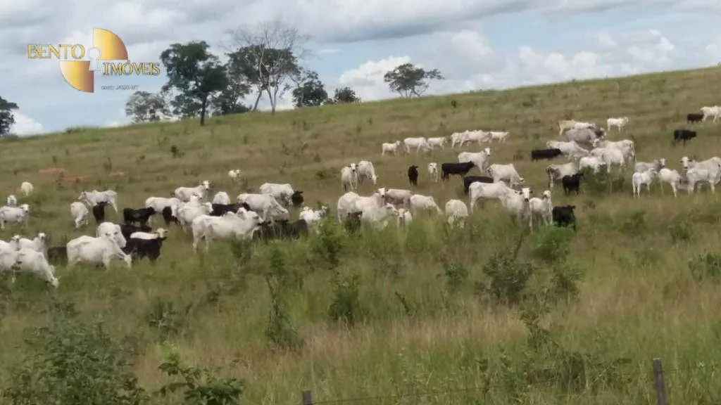 Fazenda à venda de 3.080 ha em Guiratinga, MT, Brasil