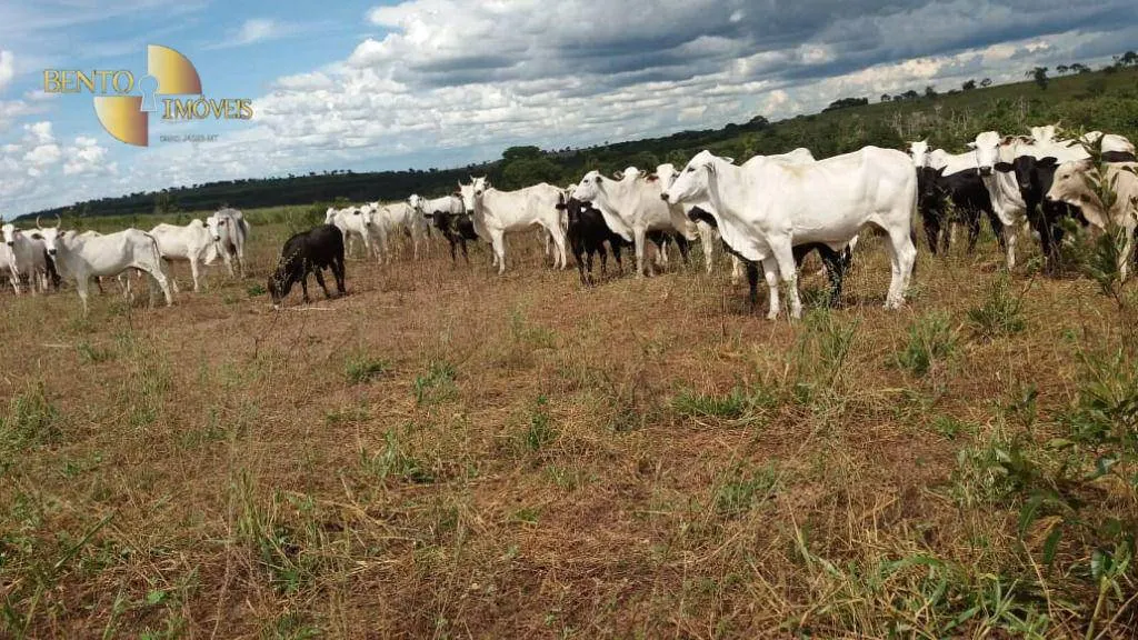 Fazenda à venda de 3.080 ha em Guiratinga, MT, Brasil