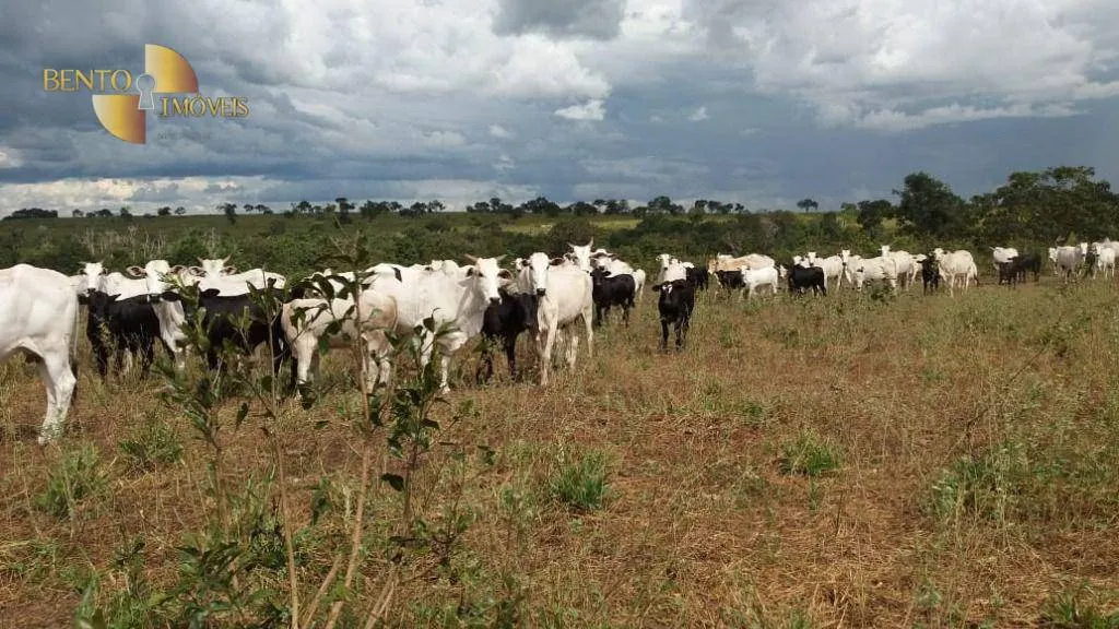 Fazenda à venda de 3.080 ha em Guiratinga, MT, Brasil