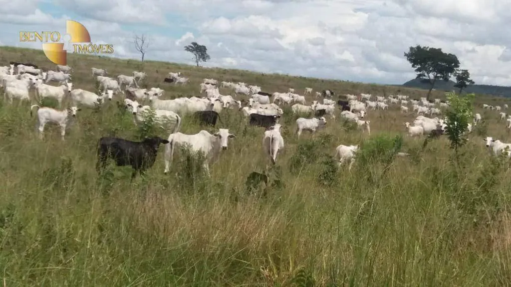 Fazenda à venda de 3.080 ha em Guiratinga, MT, Brasil