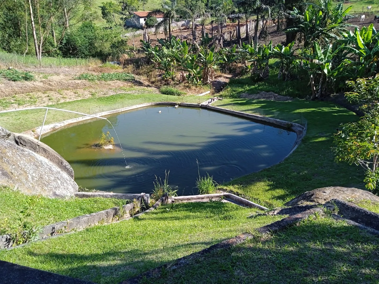 Sítio à venda de 3 ha em Paraibuna, SP, Brasil