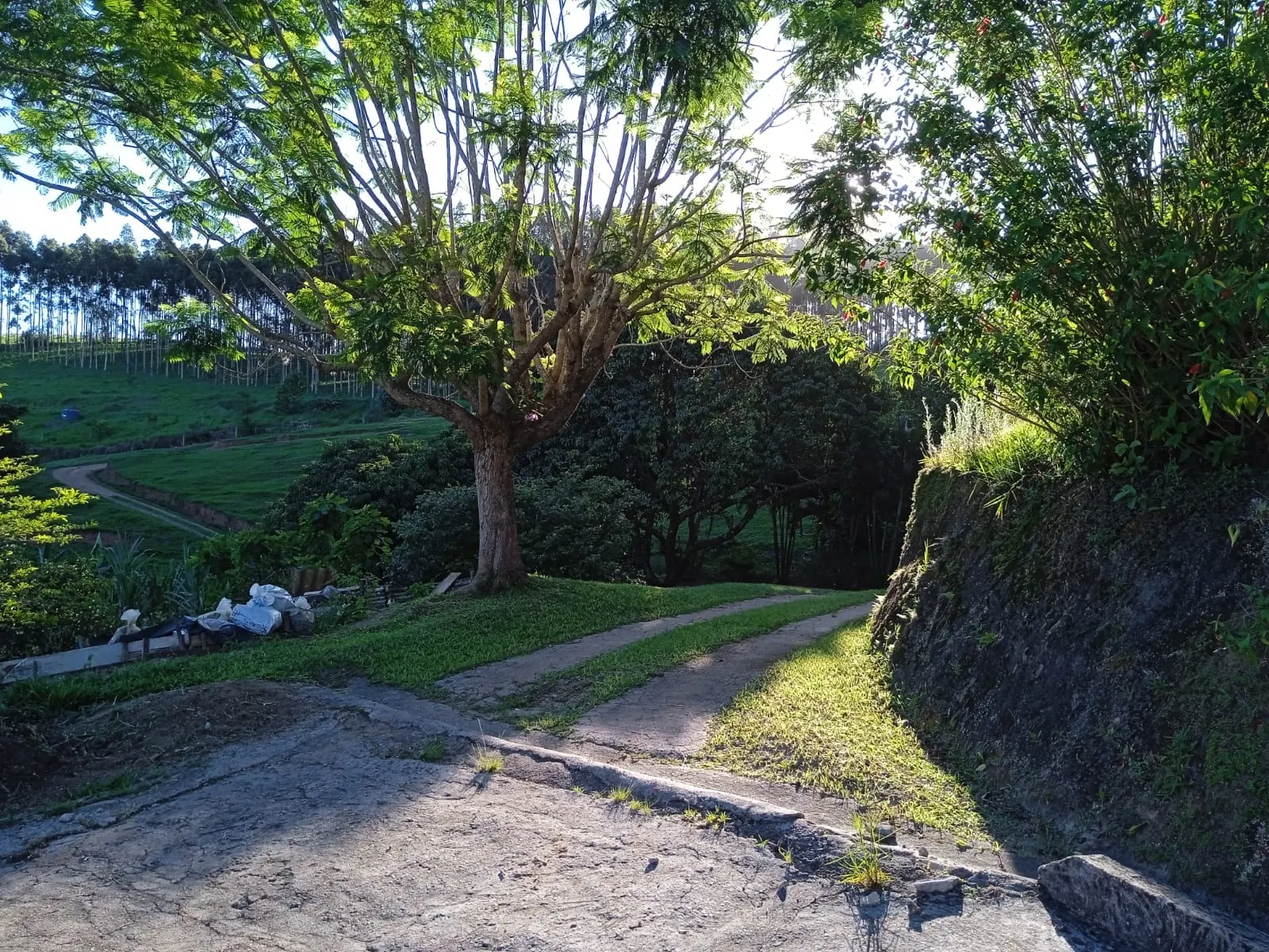 Sítio à venda de 3 ha em Paraibuna, SP, Brasil