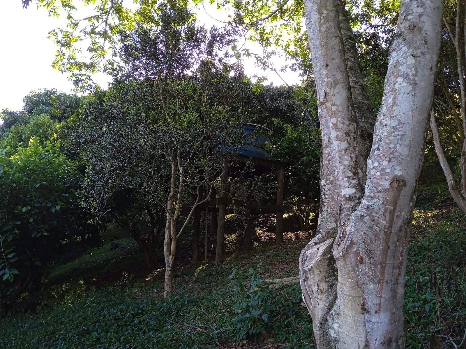 Sítio à venda de 3 ha em Paraibuna, SP, Brasil