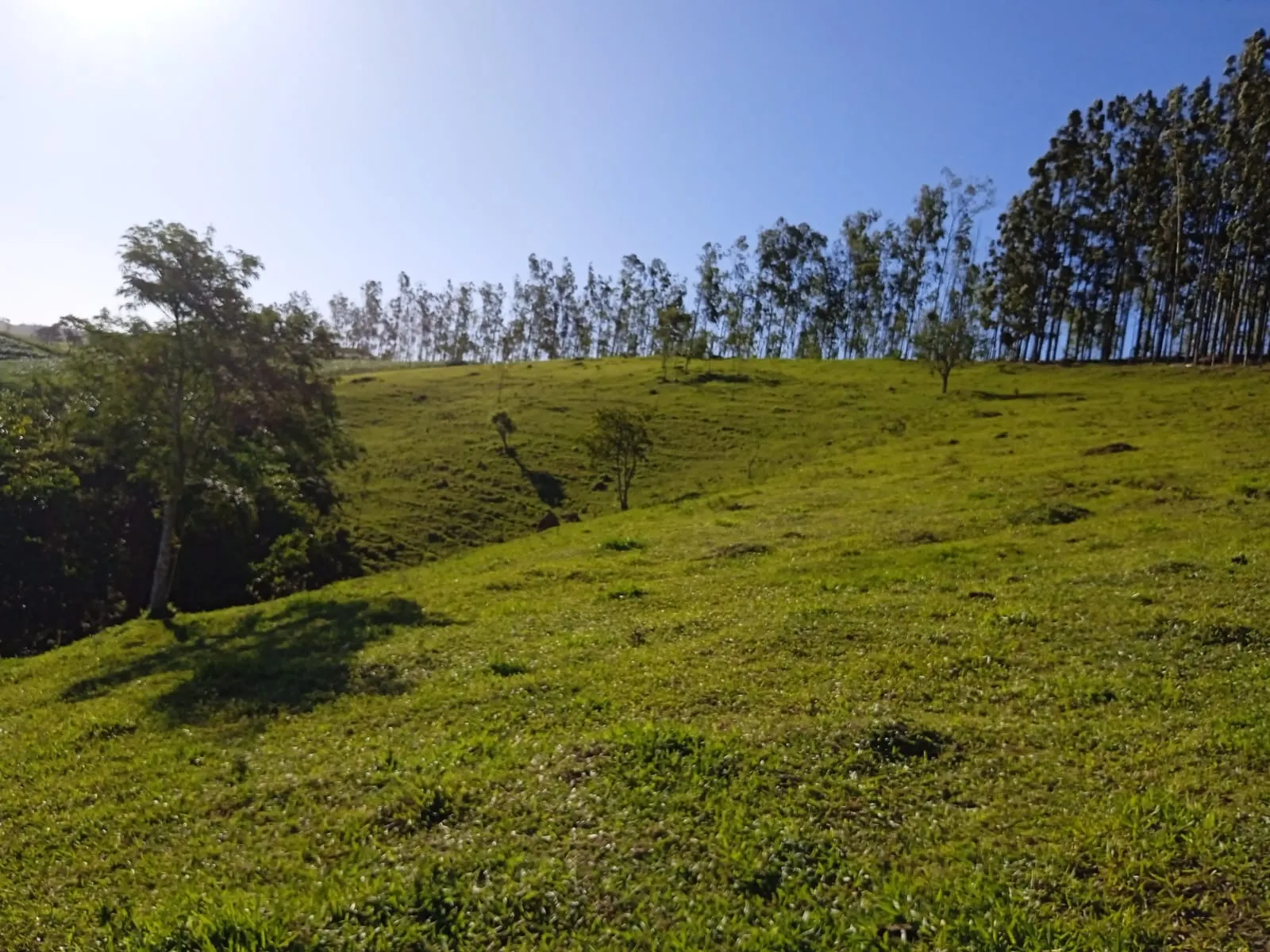 Sítio à venda de 3 ha em Paraibuna, SP, Brasil