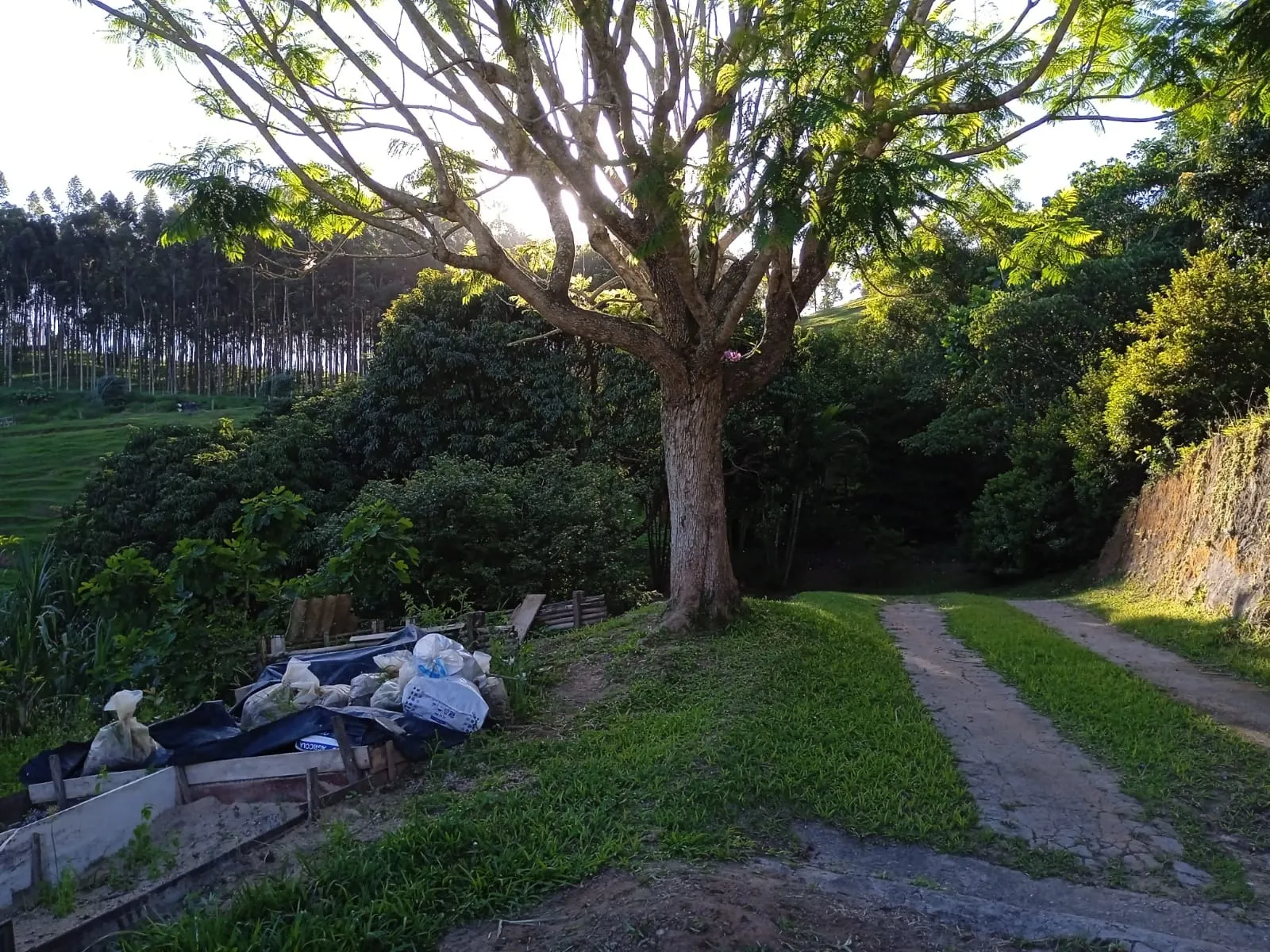 Sítio à venda de 3 ha em Paraibuna, SP, Brasil