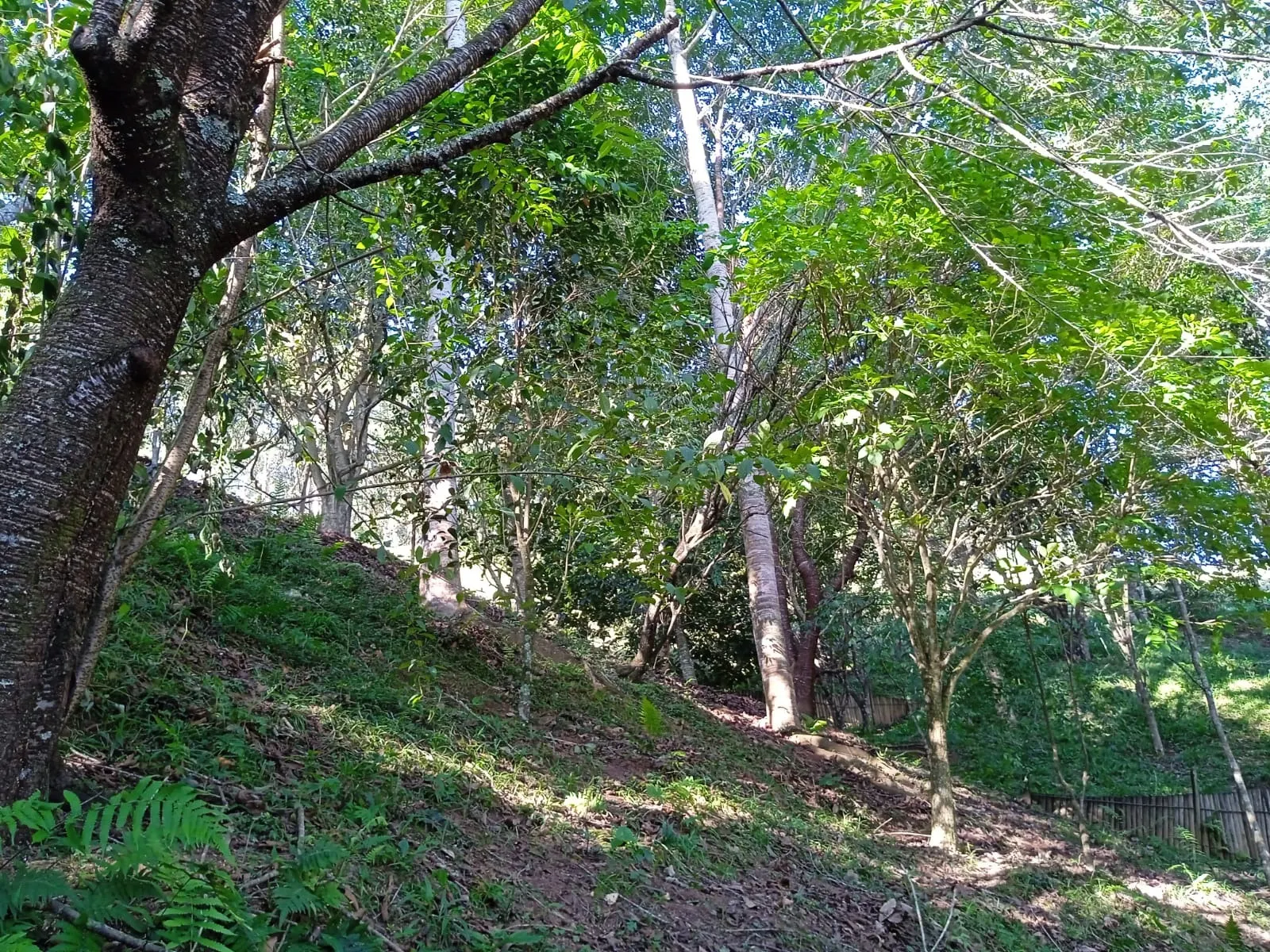 Sítio à venda de 3 ha em Paraibuna, SP, Brasil