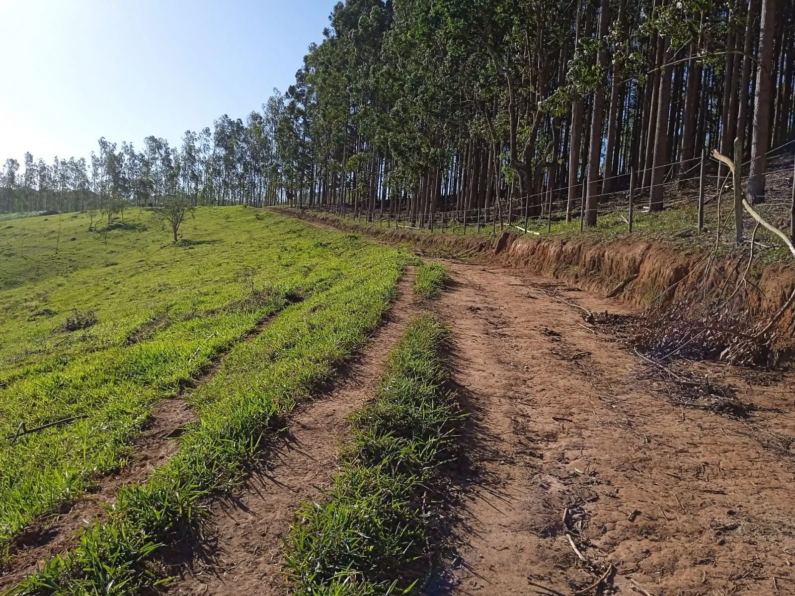 Sítio à venda de 3 ha em Paraibuna, SP, Brasil
