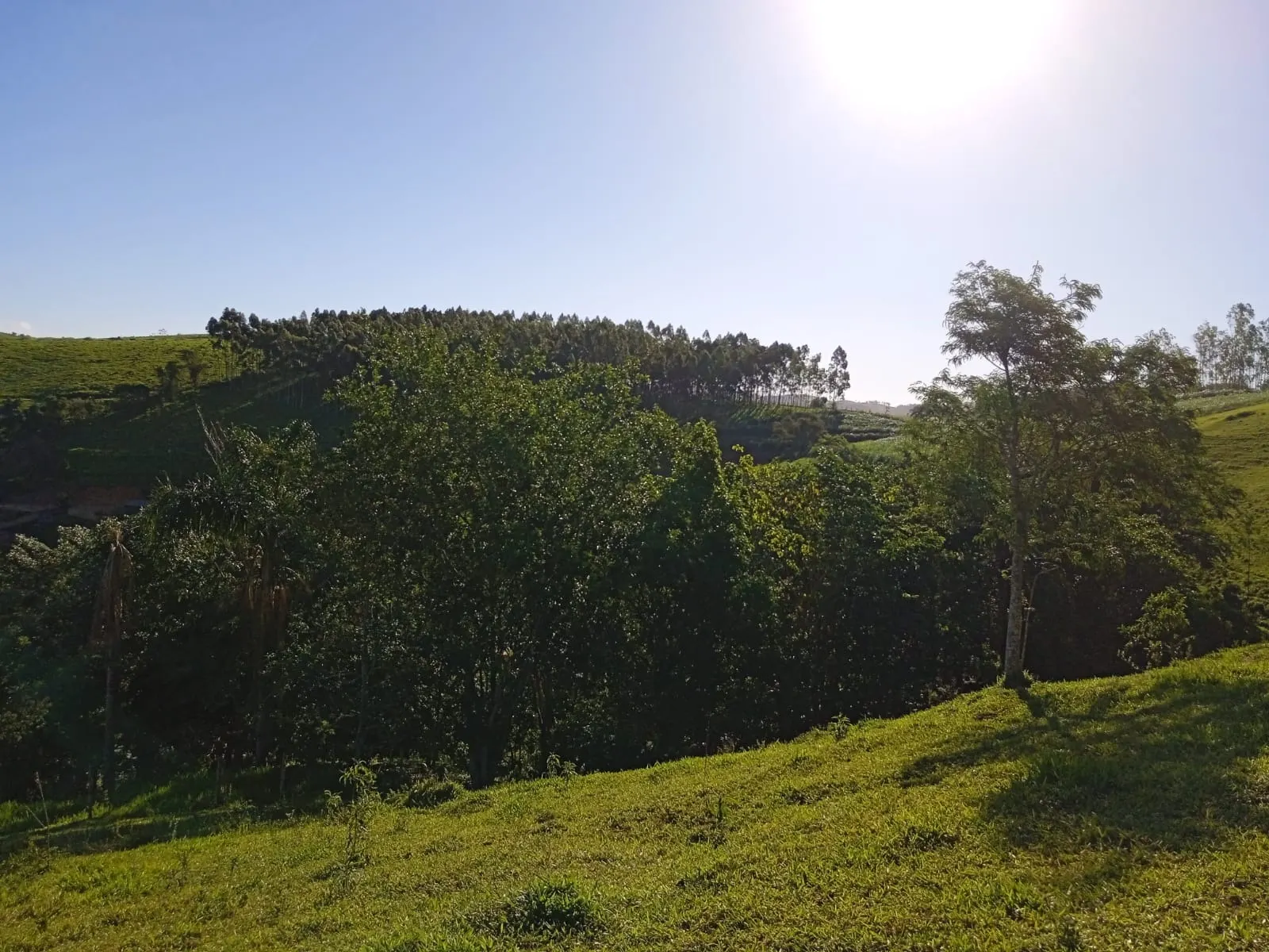 Sítio à venda de 3 ha em Paraibuna, SP, Brasil