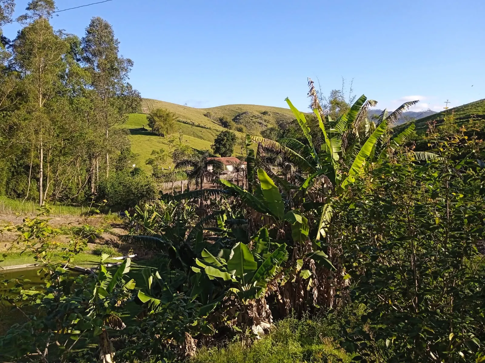 Sítio à venda de 3 ha em Paraibuna, SP, Brasil