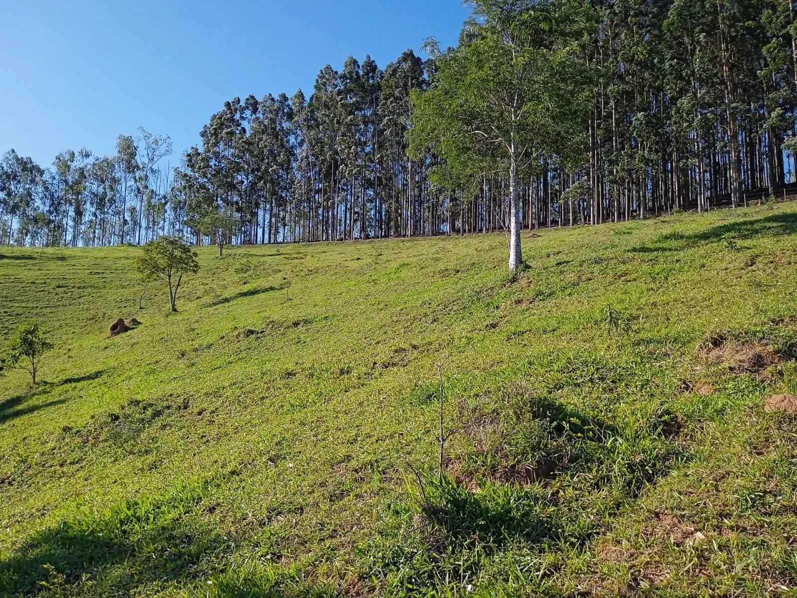 Sítio à venda de 3 ha em Paraibuna, SP, Brasil