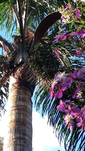 Chácara à venda de 6.890 m² em Piraquara, PR, Brasil