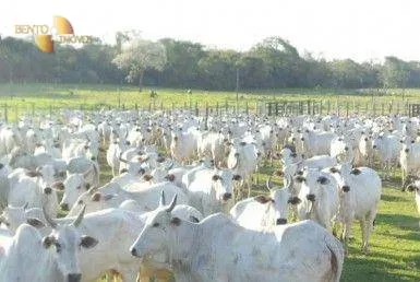 Fazenda à venda de 14.916 ha em Cuiabá, MT, Brasil