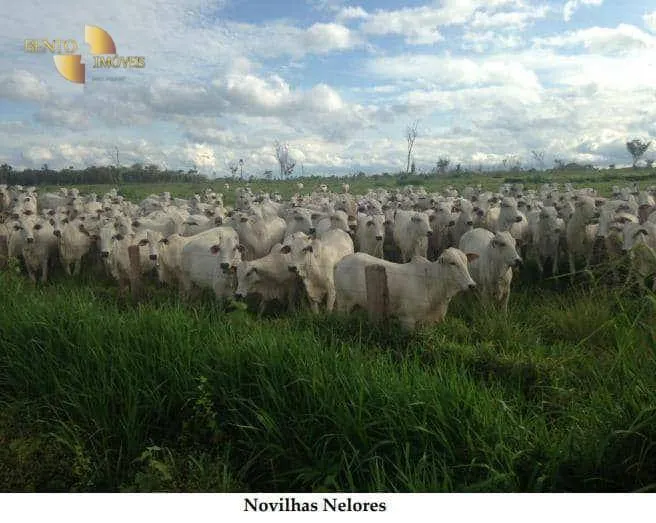 Fazenda à venda de 14.916 ha em Cuiabá, MT, Brasil