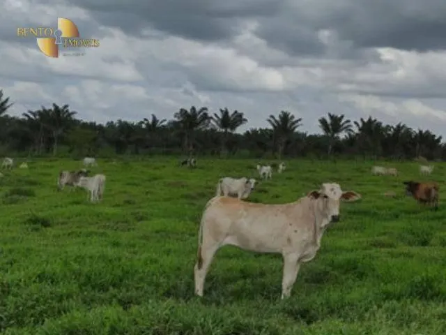 Fazenda à venda de 14.916 ha em Cuiabá, MT, Brasil