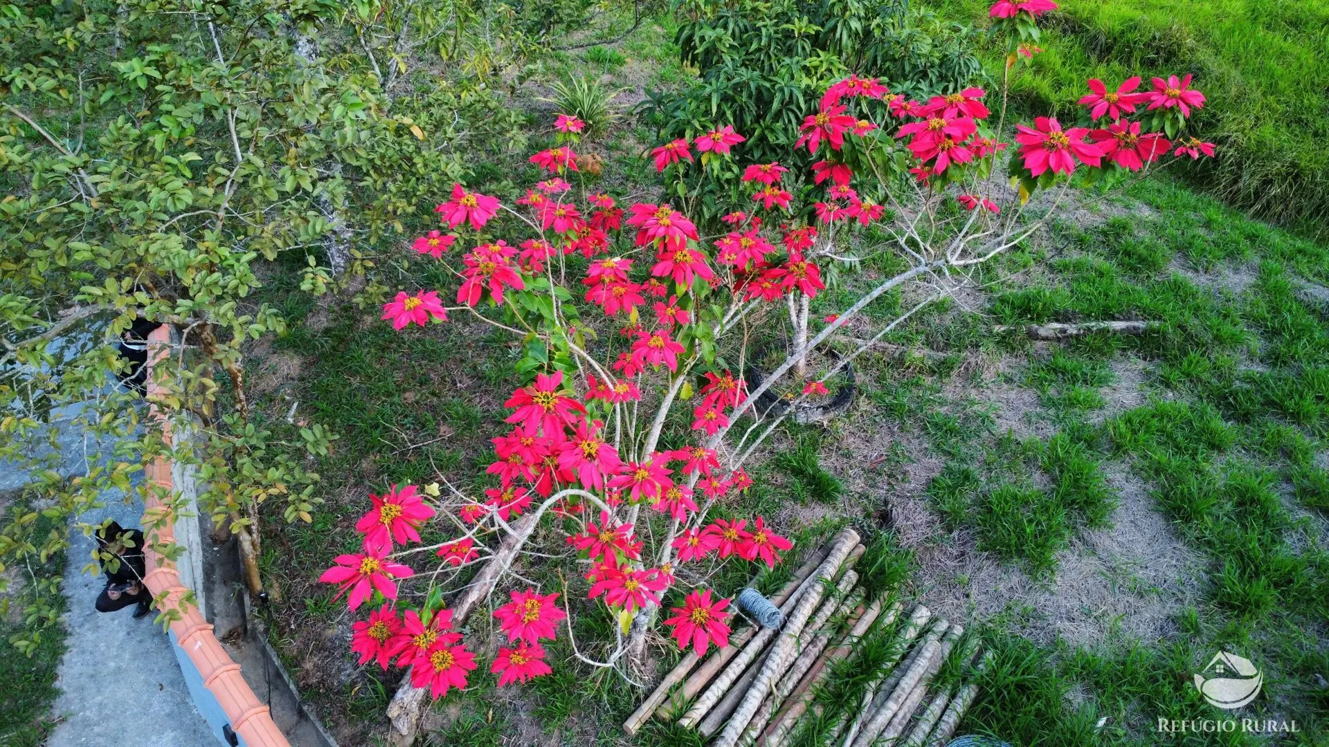 Chácara à venda de 2 ha em São José dos Campos, SP, Brasil