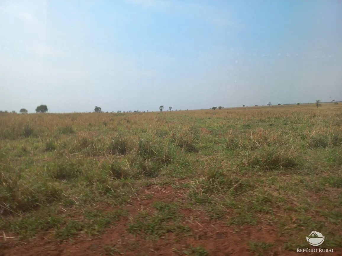 Fazenda à venda de 1.267 ha em Figueirão, MS, Brasil
