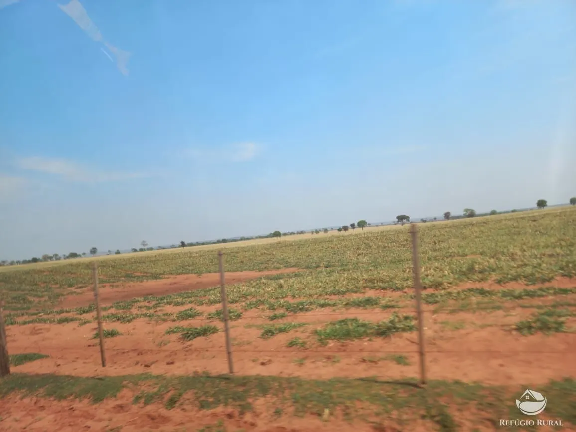 Fazenda à venda de 1.267 ha em Figueirão, MS, Brasil