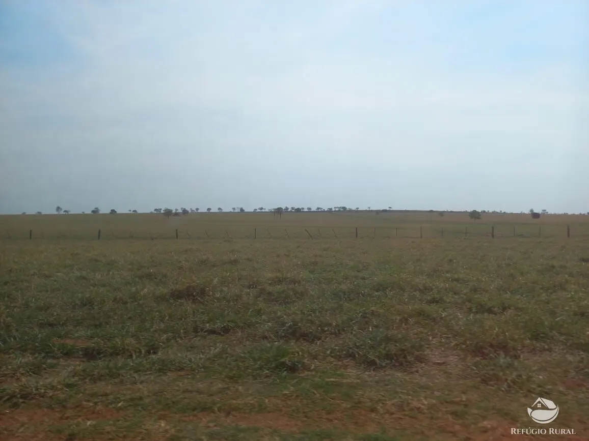 Fazenda à venda de 1.267 ha em Figueirão, MS, Brasil