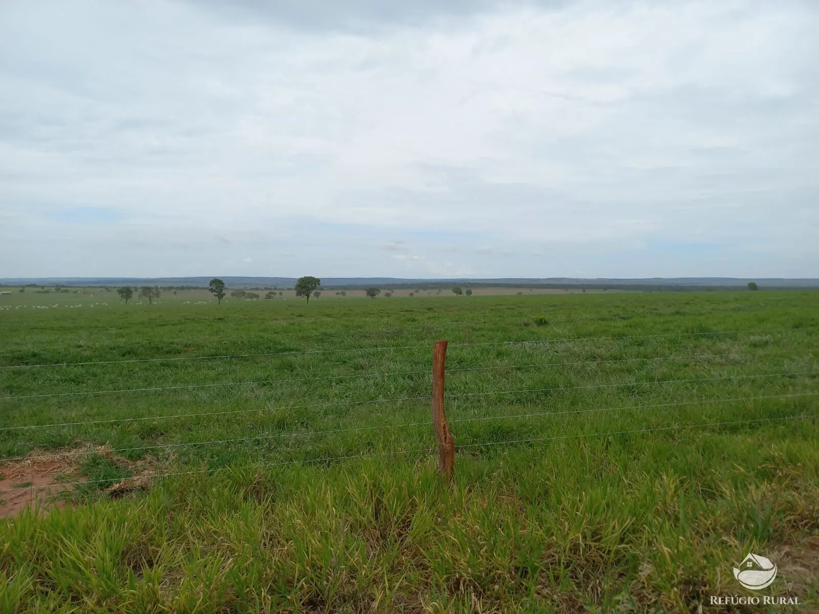 Fazenda à venda de 1.267 ha em Figueirão, MS, Brasil